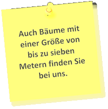 Auch Bäume mit einer Größe von bis zu sieben Metern finden Sie bei uns.