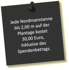 Jede Nordmanntanne bis 2,00 m auf der Plantage kostet 30,00 Euro, inklusive des Spendenbetrags.