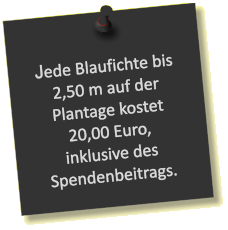 Jede Blaufichte bis 2,50 m auf der Plantage kostet 20,00 Euro, inklusive des Spendenbeitrags.